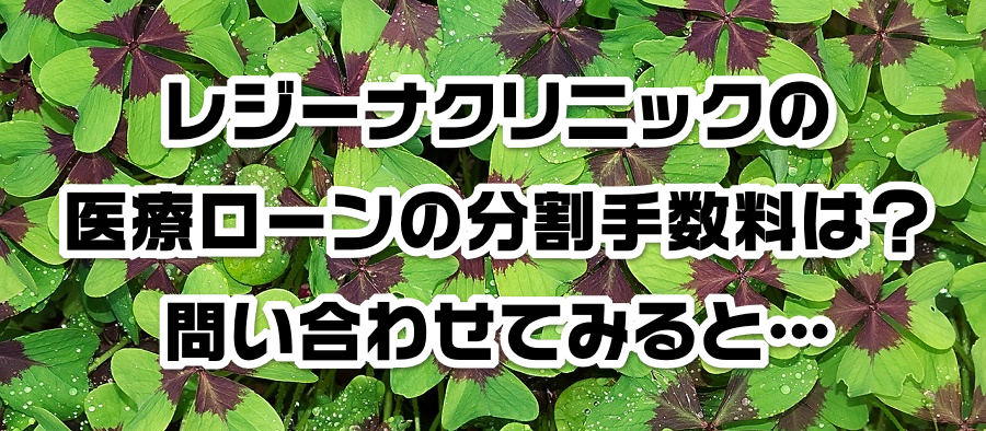 レジーナクリニックの医療ローンの分割手数料は?問い合わせてみると…